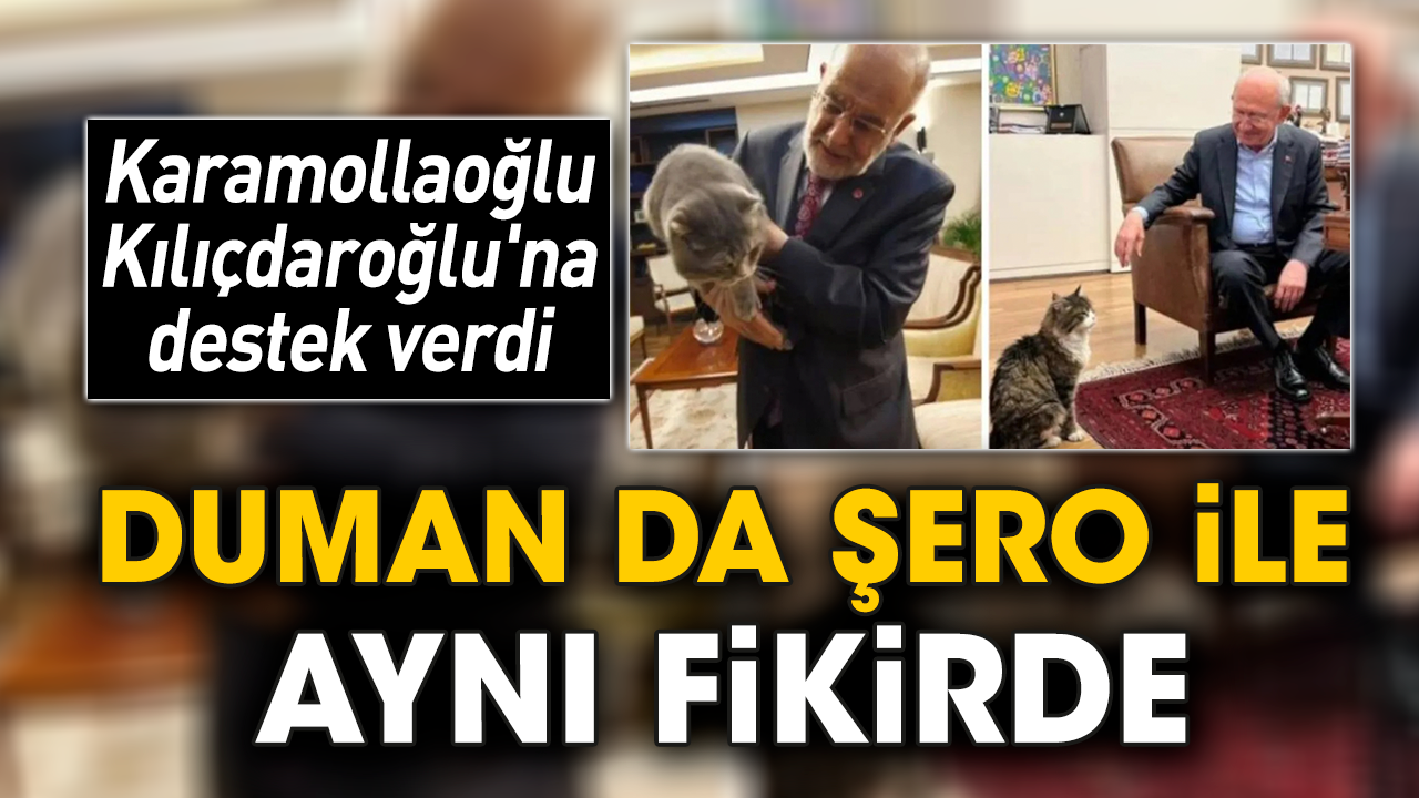 Karamollaoğlu Kılıçdaroğlu'na destek verdi! Duman da Şero ile aynı fikirde
