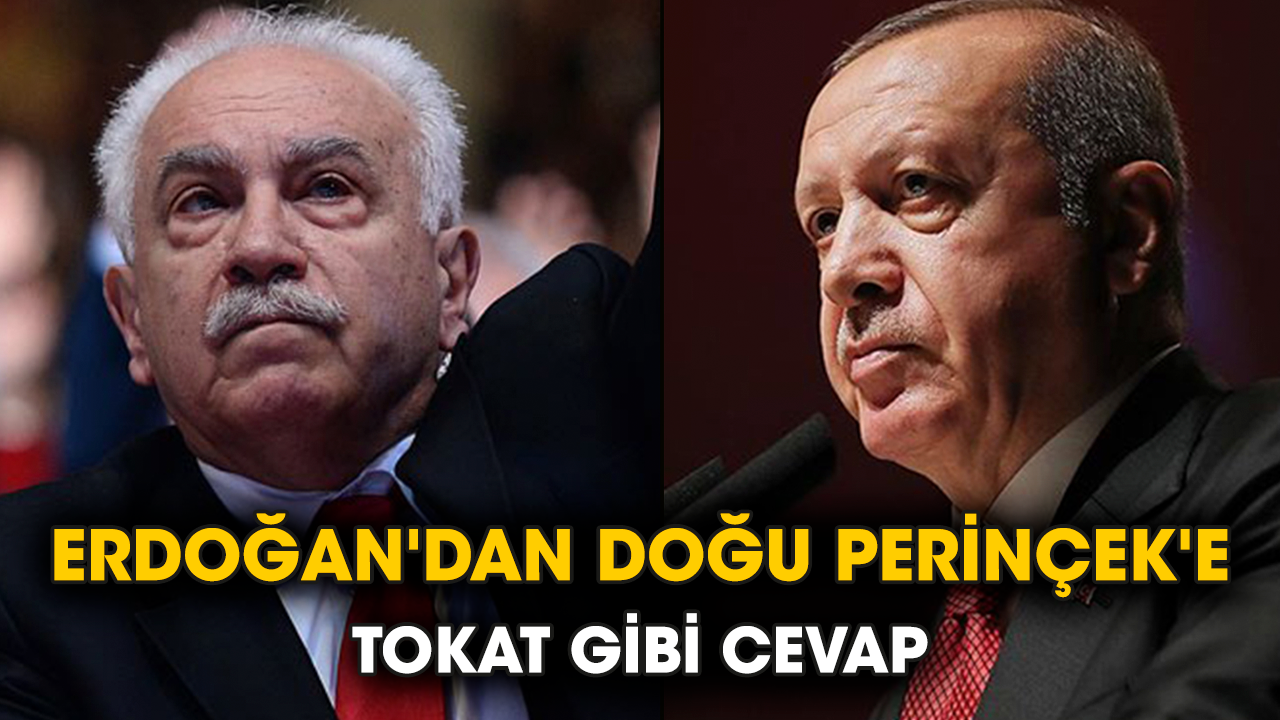 Erdoğan'dan Doğu Perinçek'e tokat gibi cevap