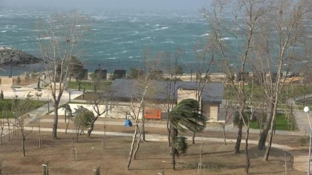 Doğu Karadeniz’de fırtına: Çatı uçtu, ağaç devrildi