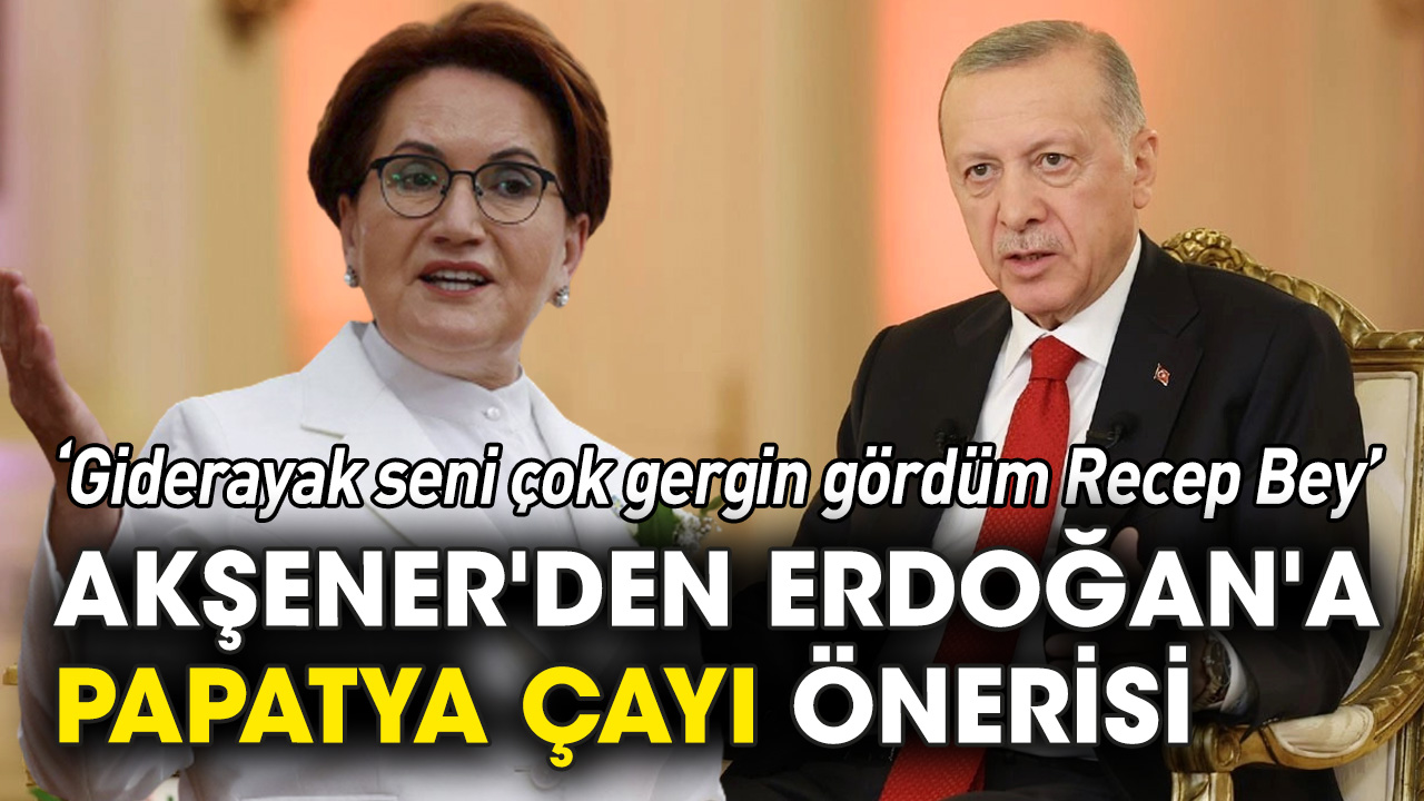 Akşener'den Erdoğan'a papatya çayı önerisi: Giderayak seni çok gergin gördüm Recep Bey