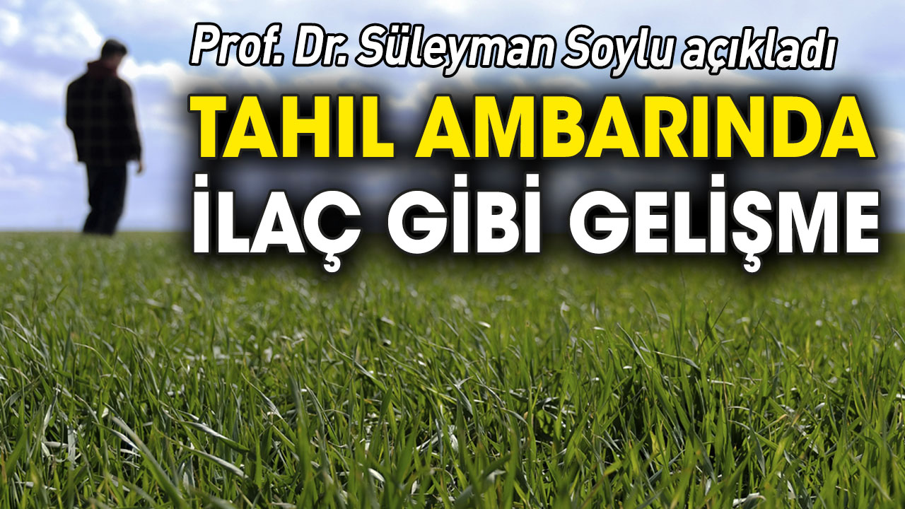 Türkiye'nin tahıl ambarında ilaç gibi gelişme