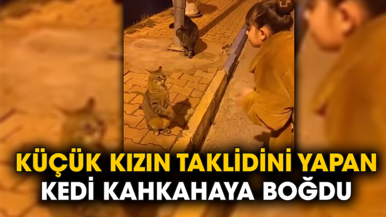 Küçük kızın taklidini yapan kedi kahkahaya boğdu