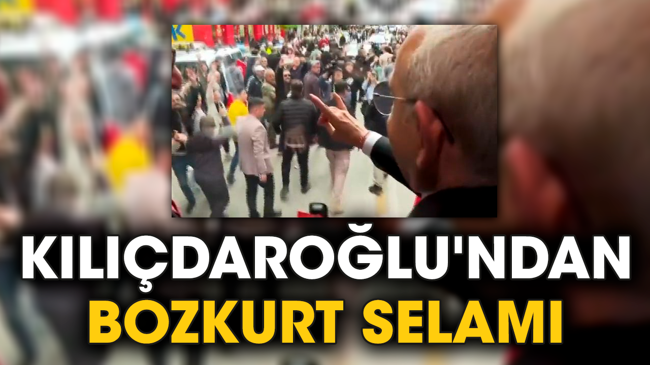 Kılıçdaroğlu'ndan Bozkurt selamı