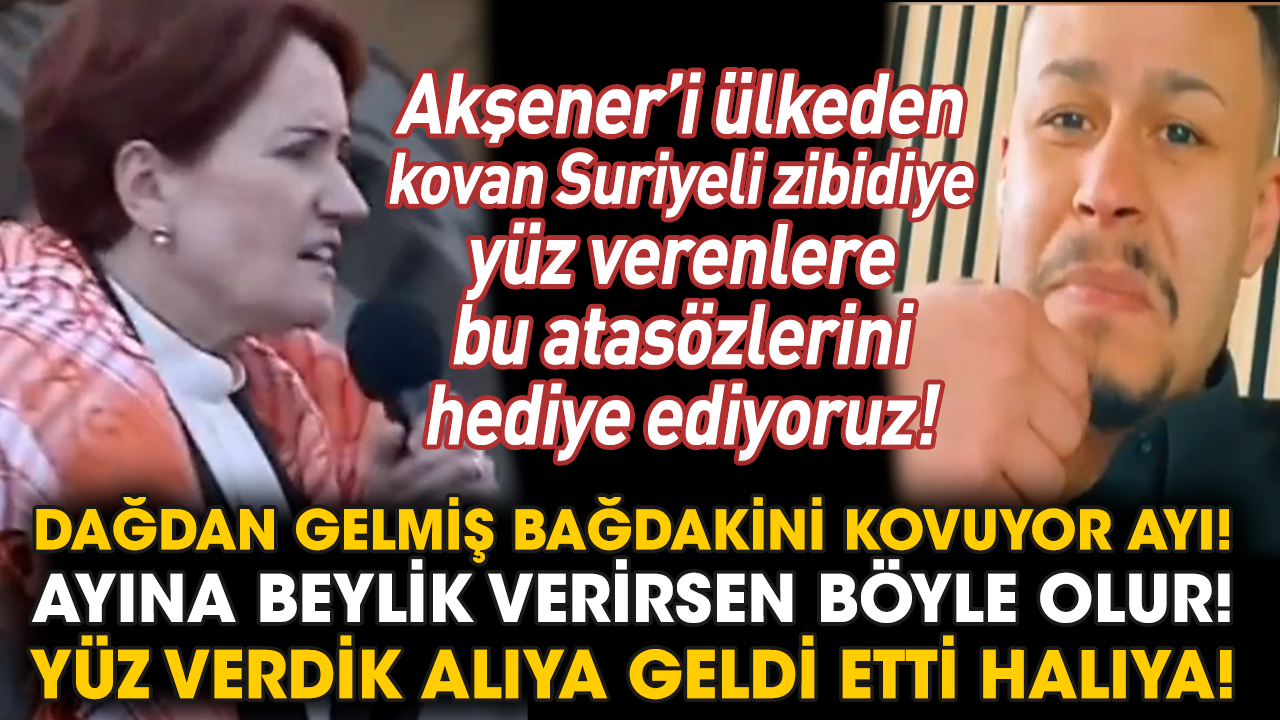 Suriyeliler Akşener'i sınır dışı etmekle tehdit etti
