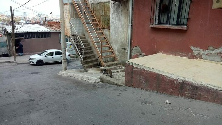 Kocası tarafından çocuğunun gözü önünde öldürüldü