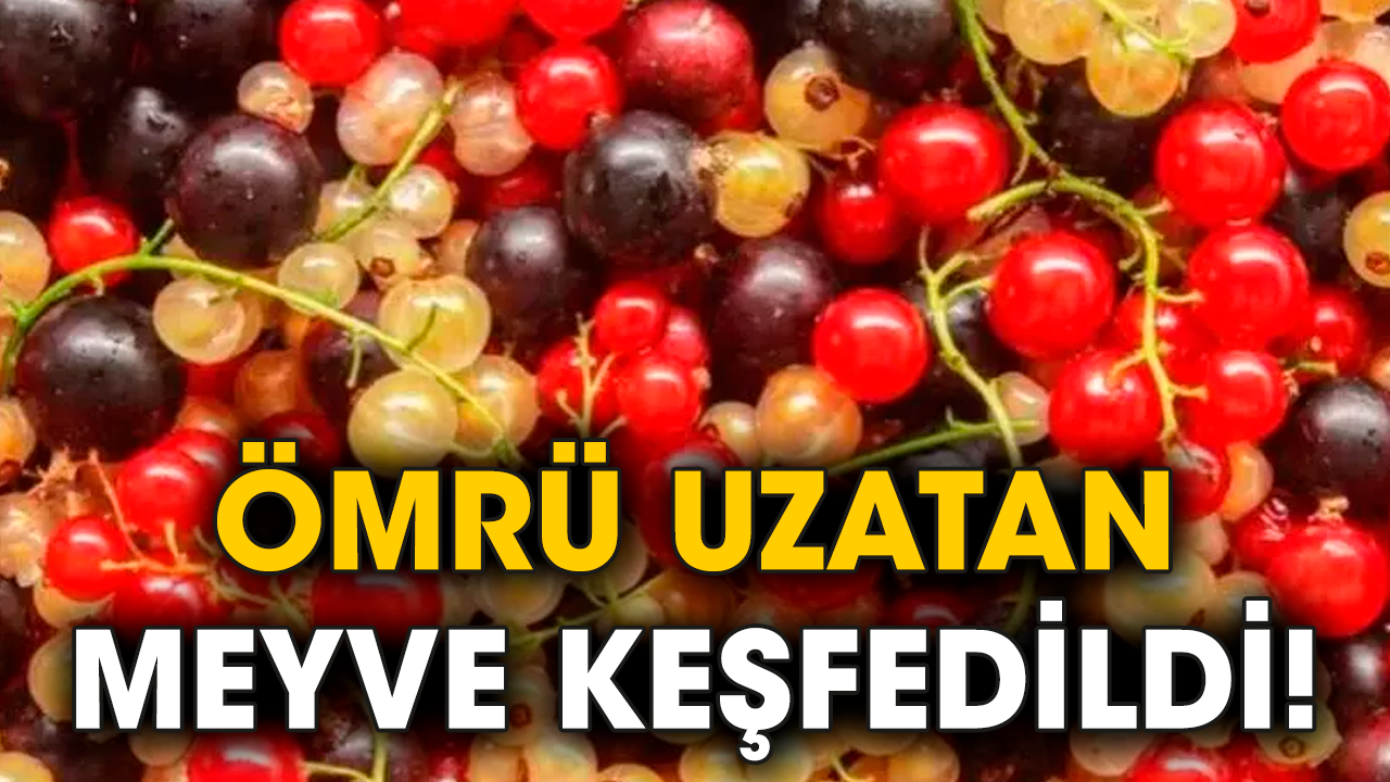 Ömrü uzatan meyve keşfedildi!