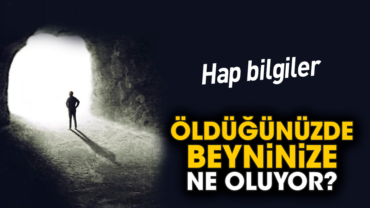 Öldüğünüzde beyninize ne oluyor?