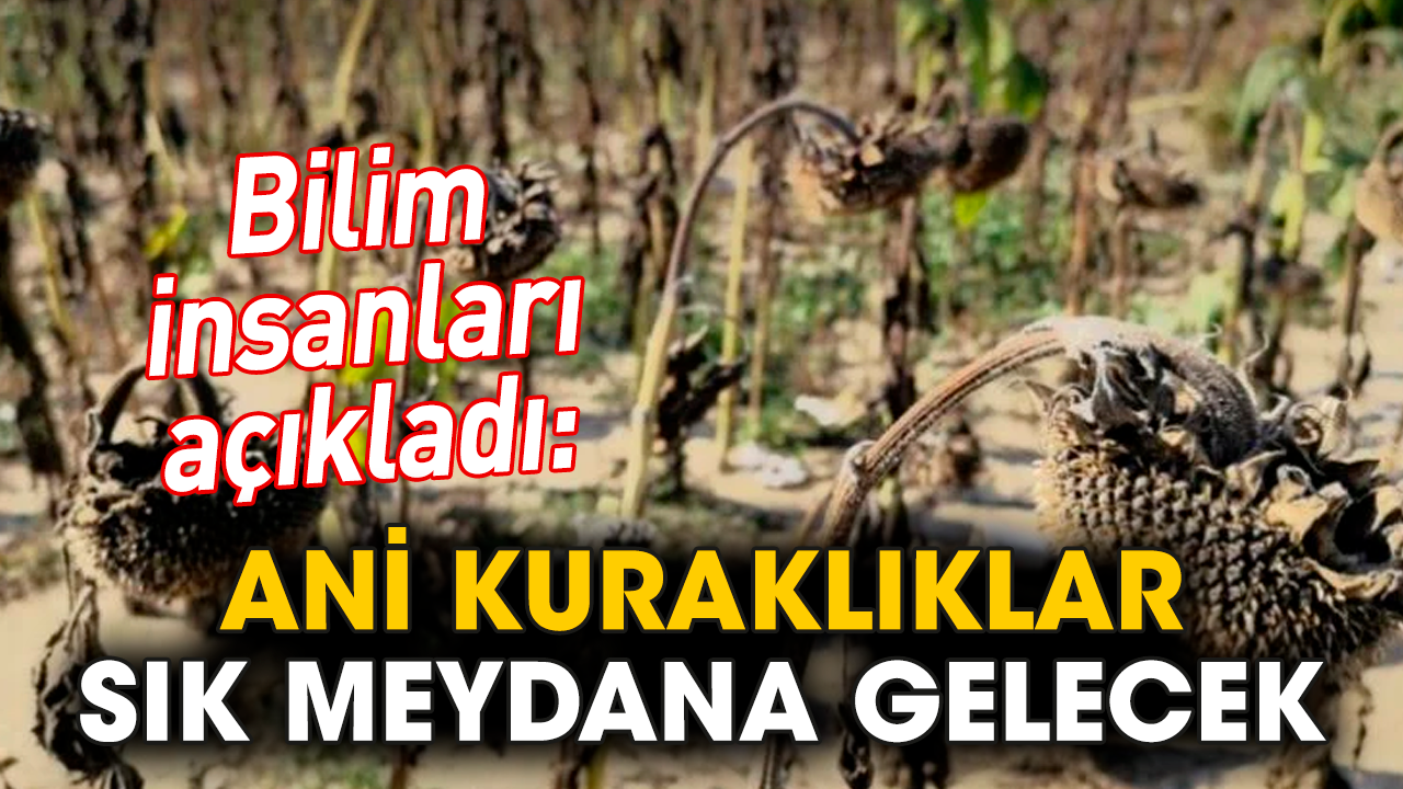 Ani kuraklıklar sık meydana gelecek