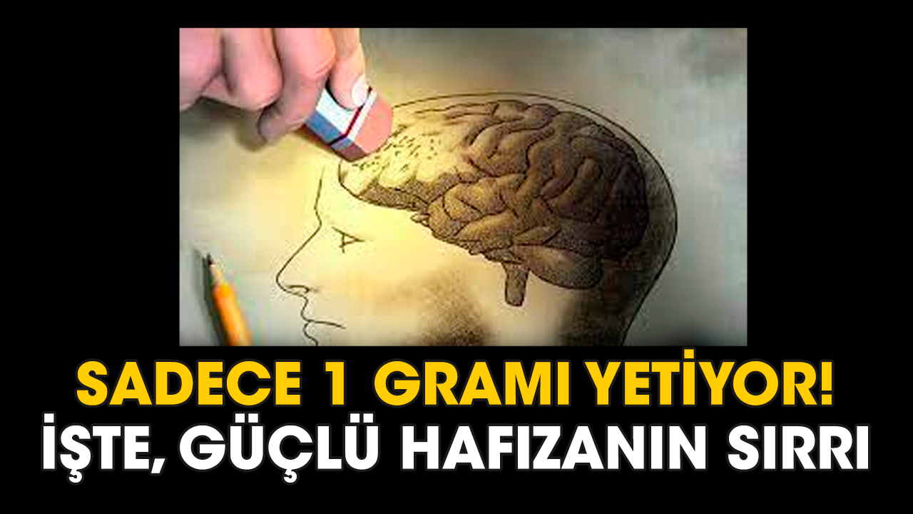 Sadece 1 gramı yetiyor! İşte, güçlü hafızanın sırrı