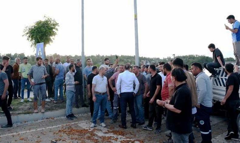 Üretici isyanda: Tonlarca kayısı yola döküldü