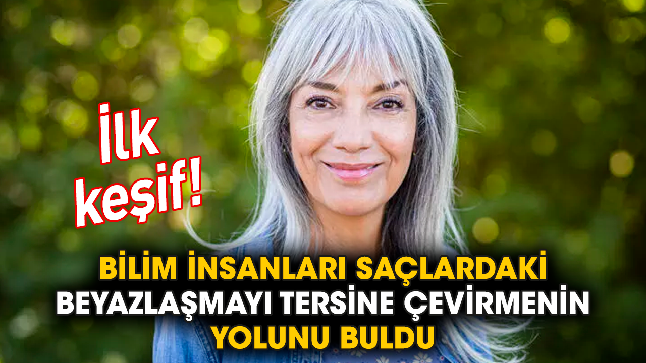 İlk keşif! Bilim insanları saçlardaki beyazlaşmayı tersine çevirmenin yolunu buldu