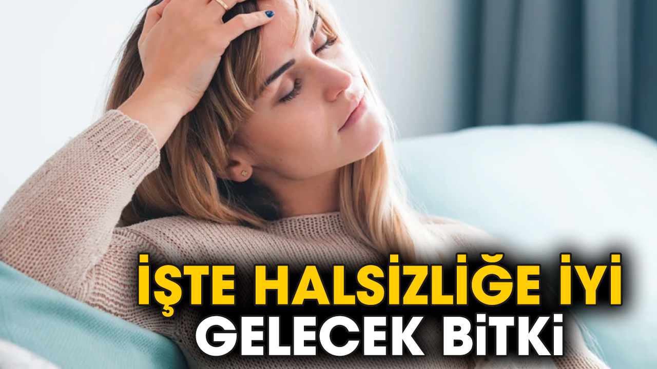 İşte halsizliğe iyi gelecek bitki
