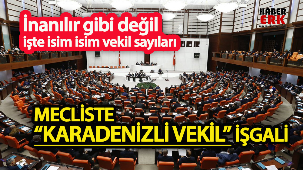 TBMM'de Karadenizli vekil işgali