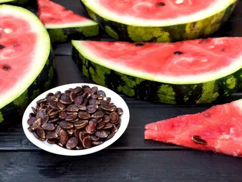 Karpuz çekirdeğinin faydaları…