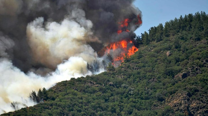 Son dakika! Marmaris'te orman yangını