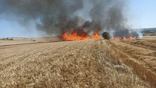 Edirne'de 30 dönüm ekili alan yandı