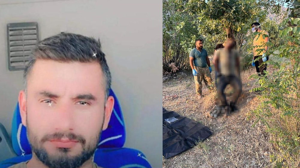 Ağaca asılı işkence görmüş erkek cesedi bulundu