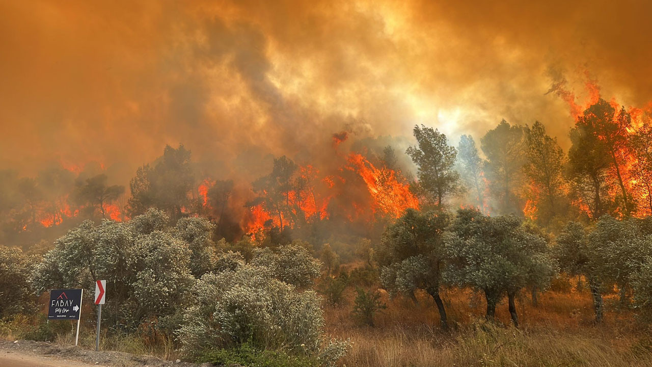 Muğla’da korkutan yangın yaşandı