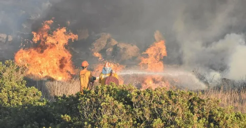 Muğla'da arazide başlayan yangın ormana sıçradı