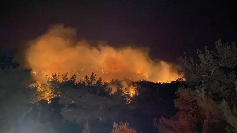 Çanakkale’de Orman Yangını Devam Ediyor