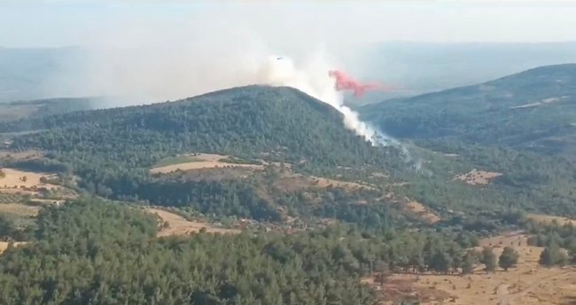 Manisa'da Korkutan Orman Yangını