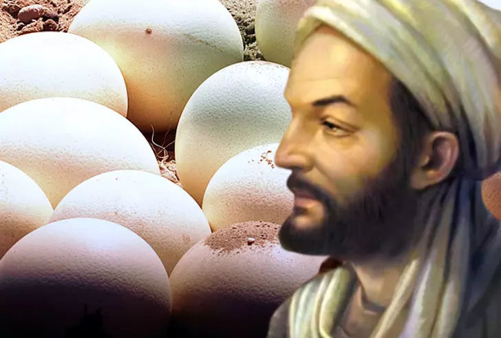İbn-i Sina'nın önerdiği şifa kaynağı