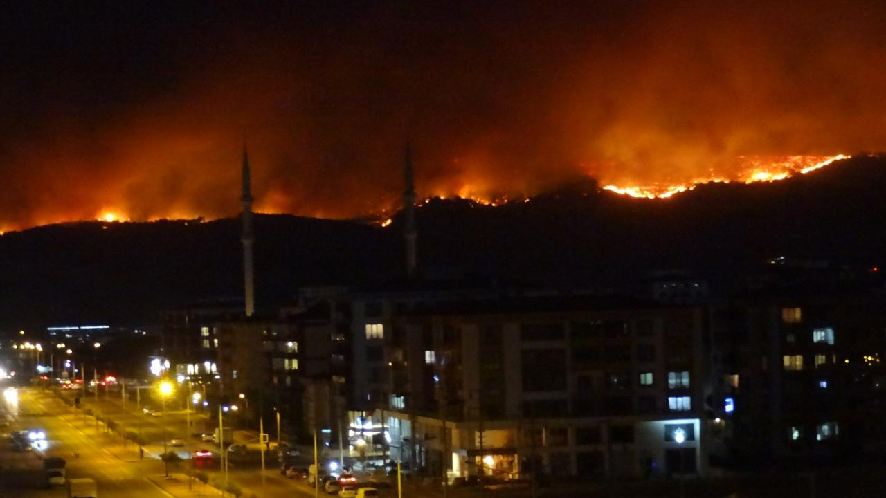Çanakkale'de orman yangını son durum