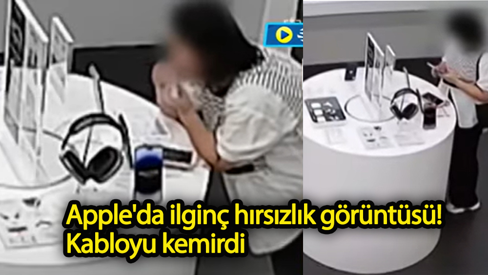 Apple'da ilginç hırsızlık görüntüsü! Kabloyu kemirdi