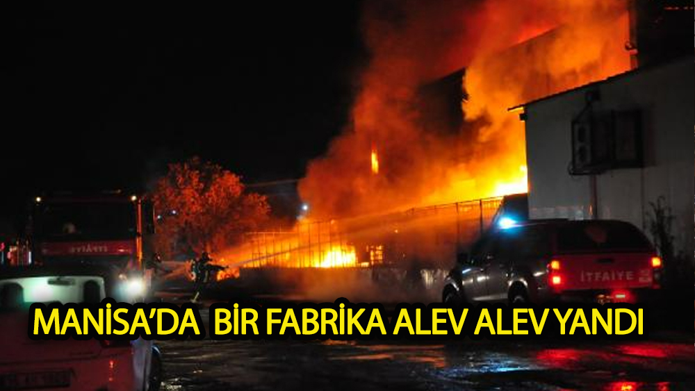 Manisa'da geri dönüşüm tesisinde yangın çıktı