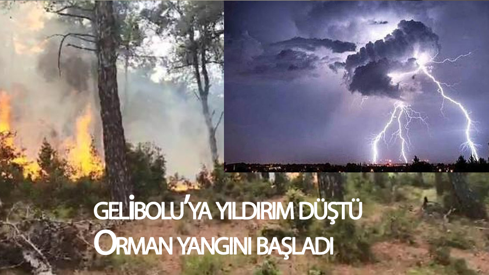 Gelibolu'ya düşen yıldırım nedeniyle orman yangını çıktı