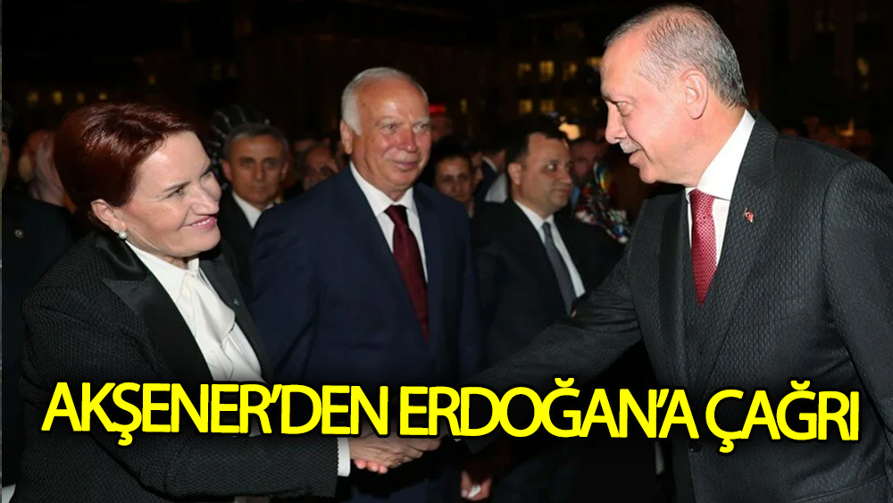 Meral Akşener'den Erdoğan'a çağrı