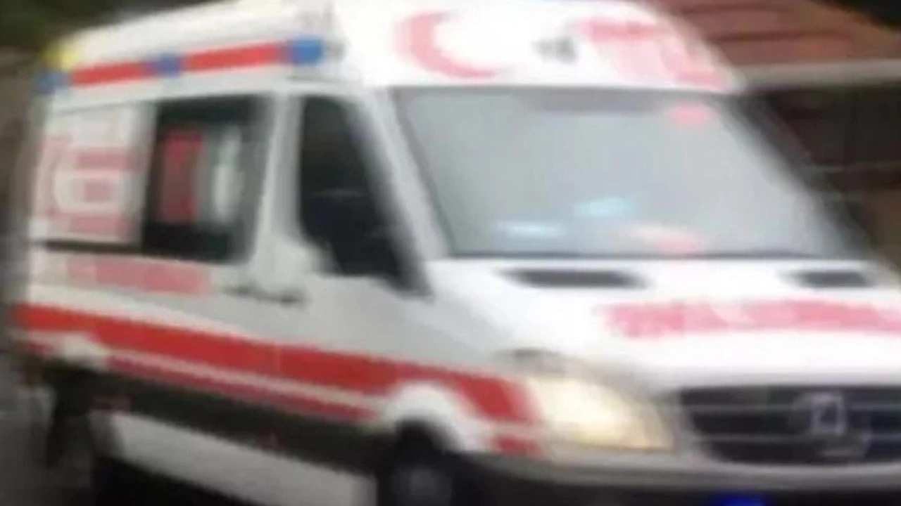 Öldürülmüş, yakılmış, parçalara ayrılmış