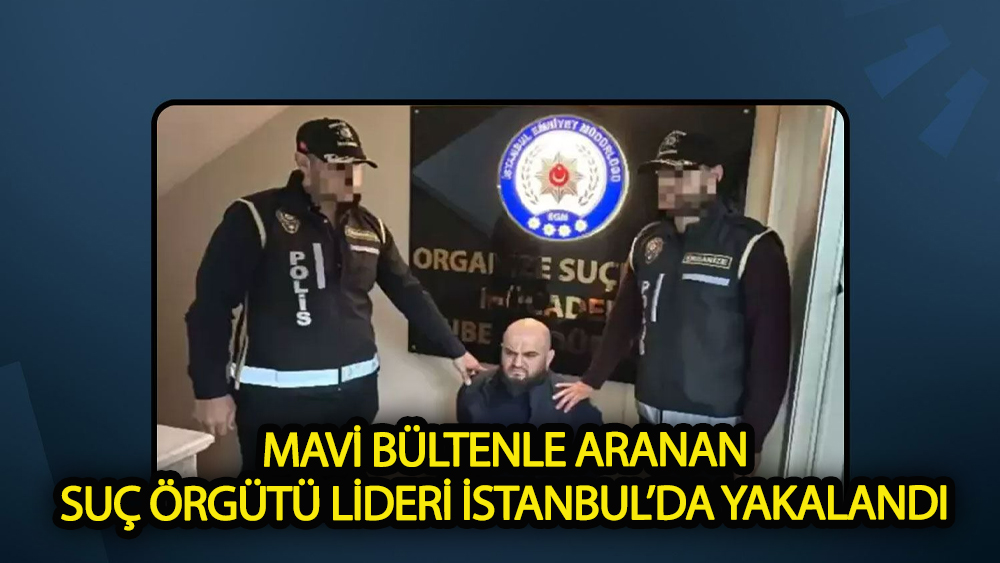 Mavi bültenle aranan suç örgütü lideri  yakalandı