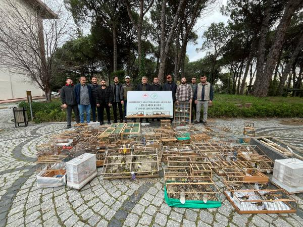 Avlanması yasak kuşlara el konuldu! Satanlara ceza yağdı