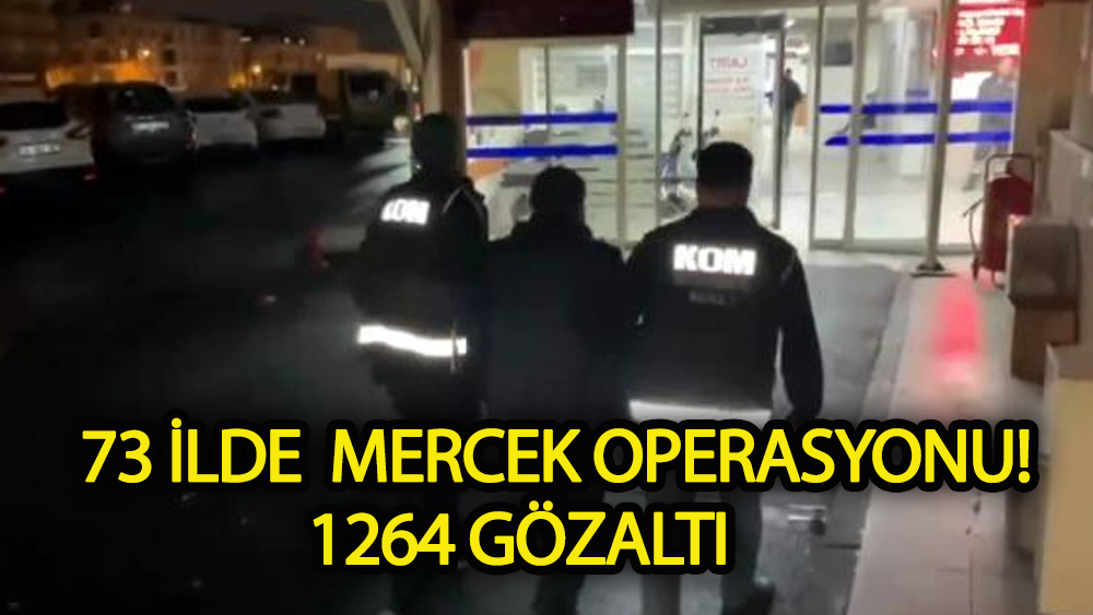 73 ilde operasyon! 1264 gözaltı