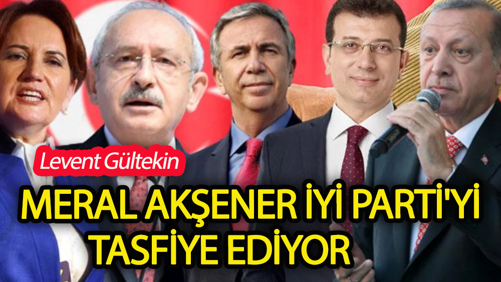 Meral Akşener İyi Parti'yi tasfiye ediyor