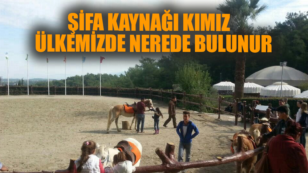 Ülkemizde Kımız Nerede Bulunur?