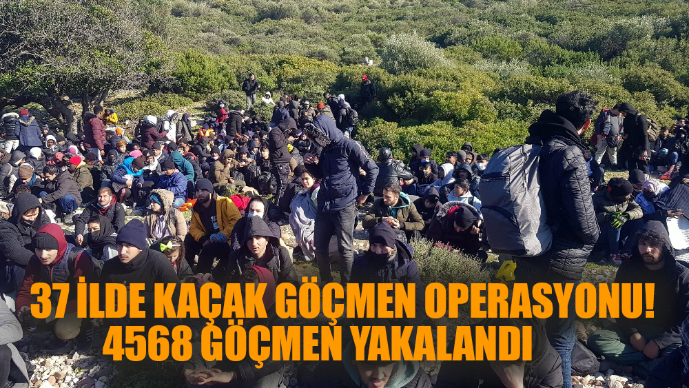 37 İlde kaçak göçmen operasyonu yapıldı