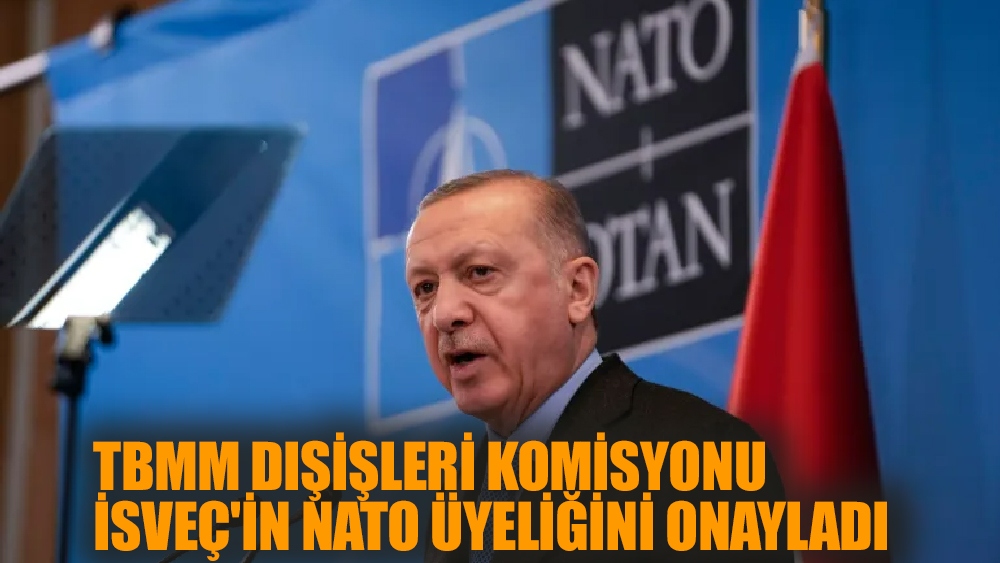 TBMM Dışişleri Komisyonu İsveç'in NATO üyeliğini onayladı