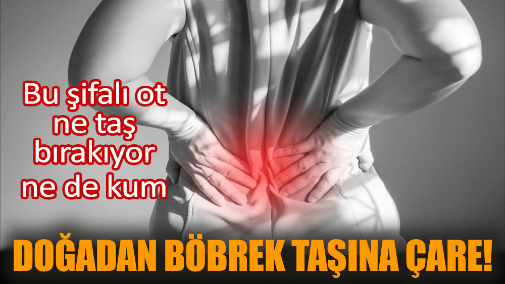 Doğadan böbrek taşına çare! Bu şifalı ot ne taş bırakıyor ne de kum