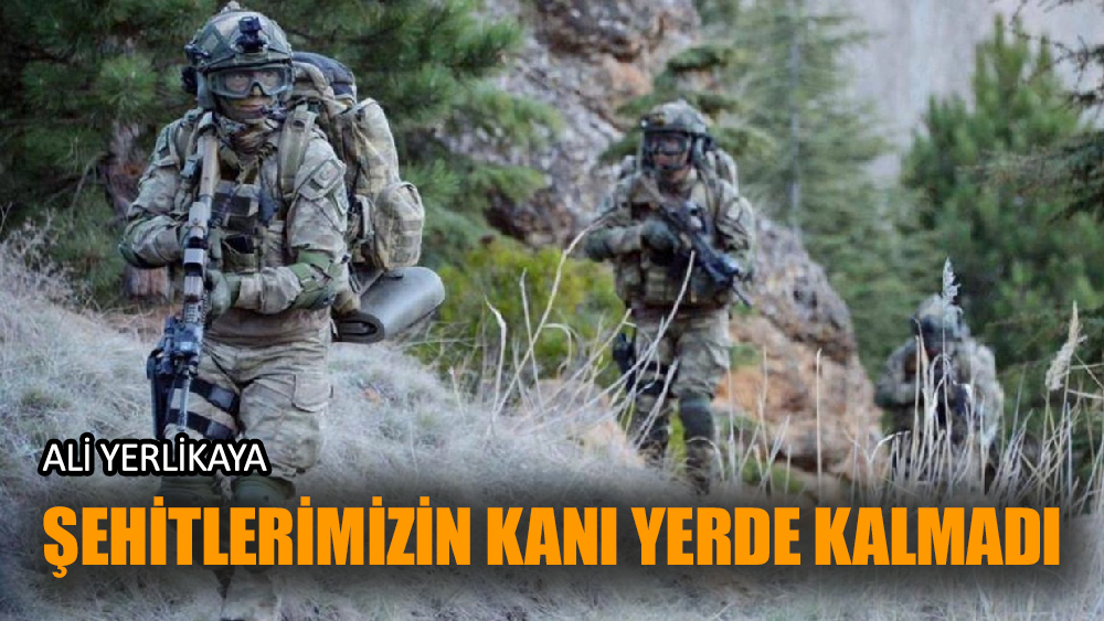 Nusaybin'de Bölücü Terör Örgütüne operasyon