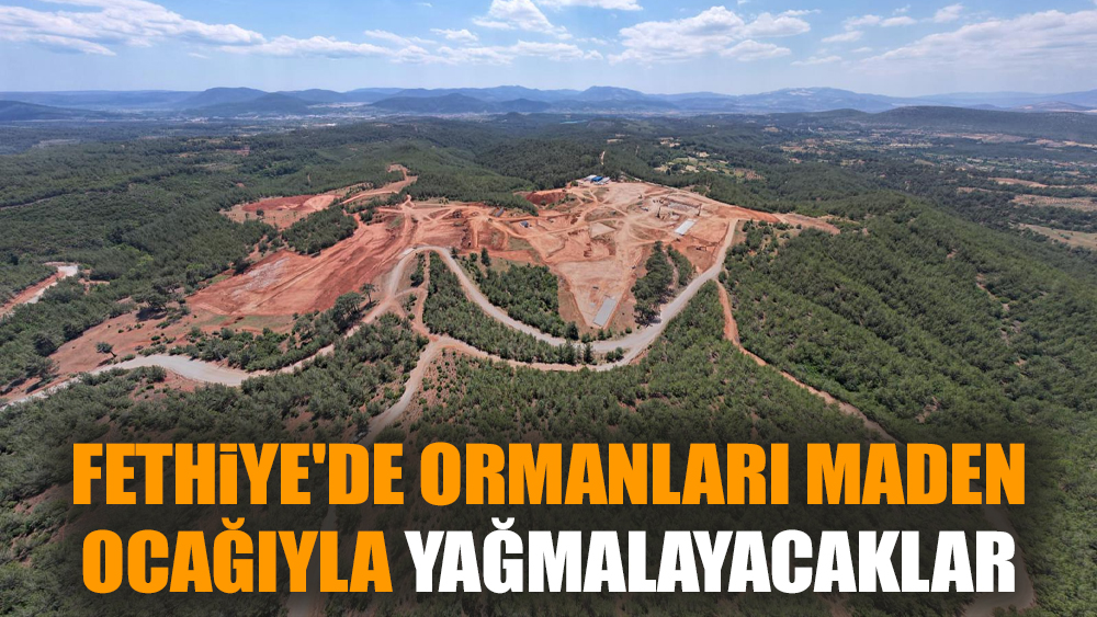 Fethiye'de ormanları maden ocağıyla yağmalayacaklar