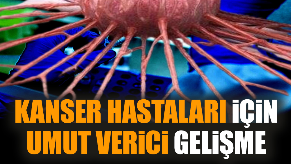 Kanser hastaları için umut verici gelişme