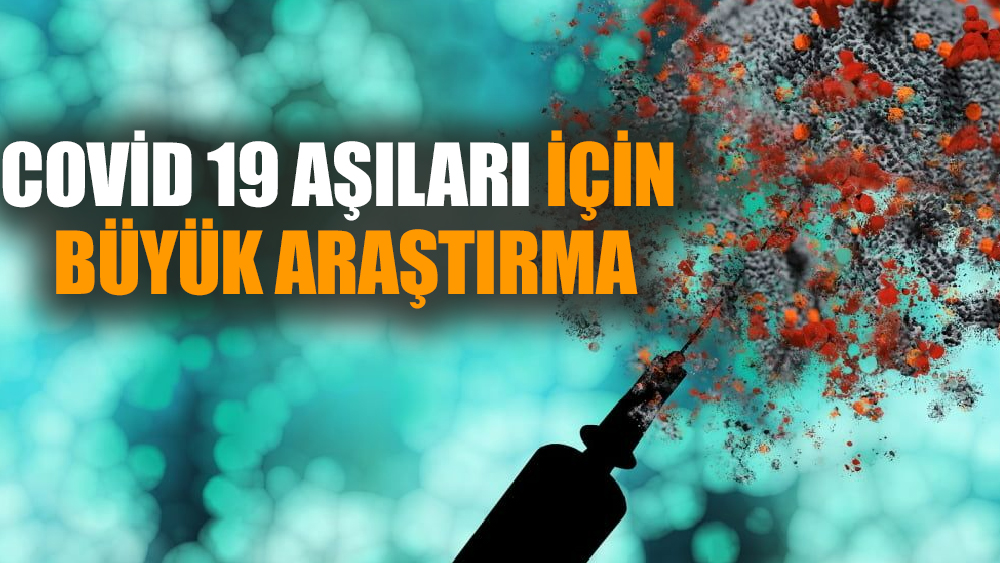 Covid 19 aşıları için büyük araştırma