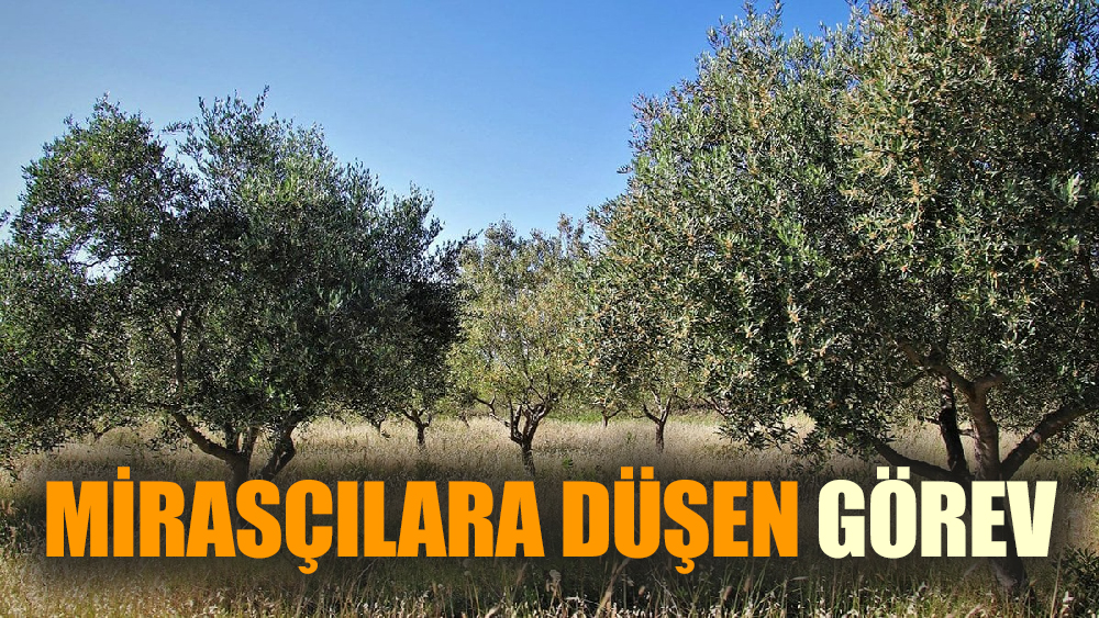 Anneden ve babadan kalan miras, kardeşlerin  arasını açıyor