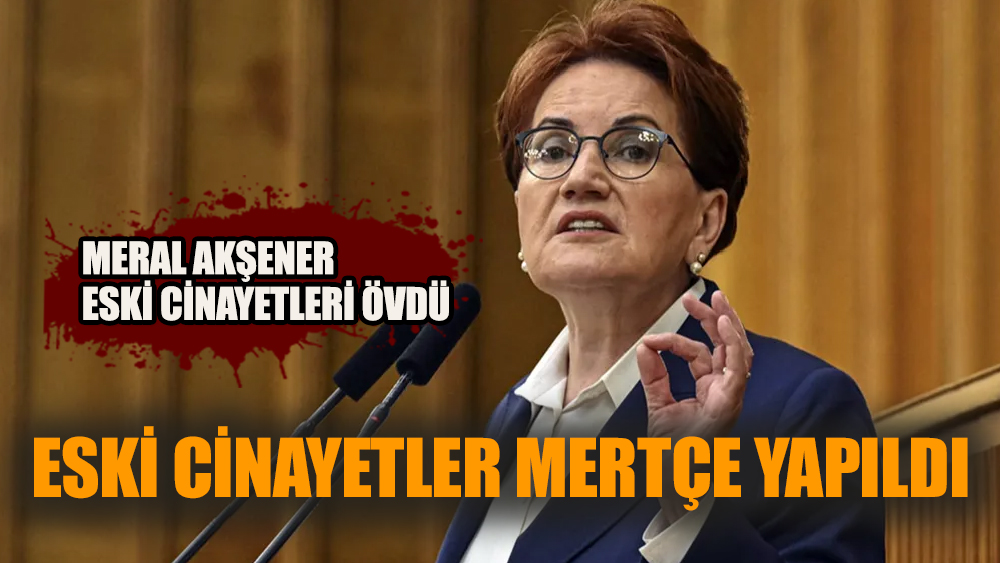 Meral Akşener’in affı kabahatinden büyük!