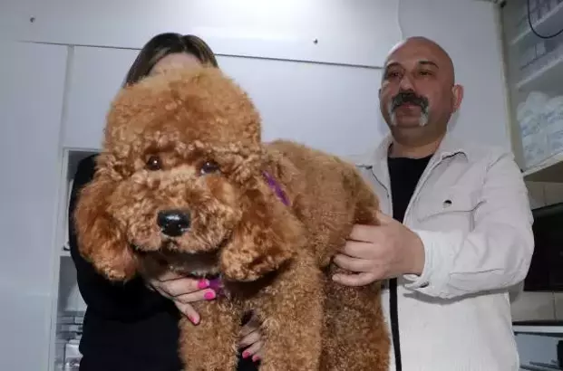 Bambam'ın hastalığına botoks tedavisi