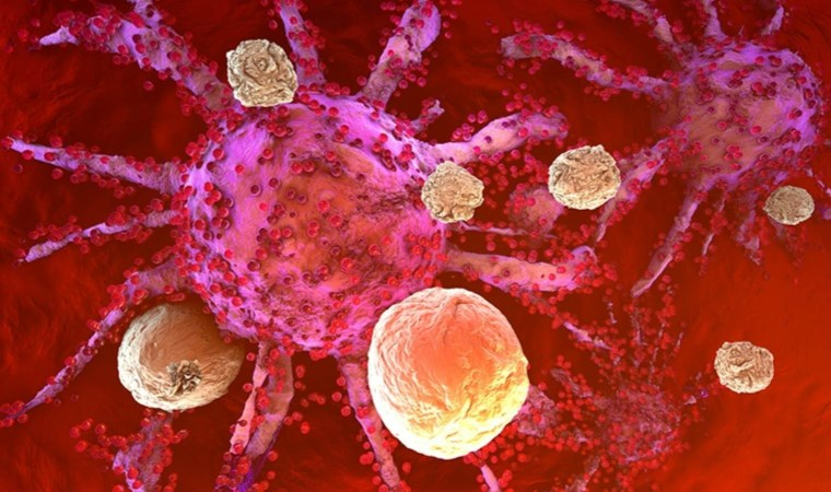 Dünya’da her 5 kişiden 1’i kansere yakalanıyor