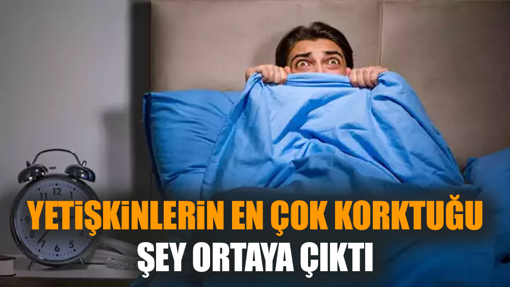 Yetişkinlerin en çok korktuğu şey ortaya çıktı