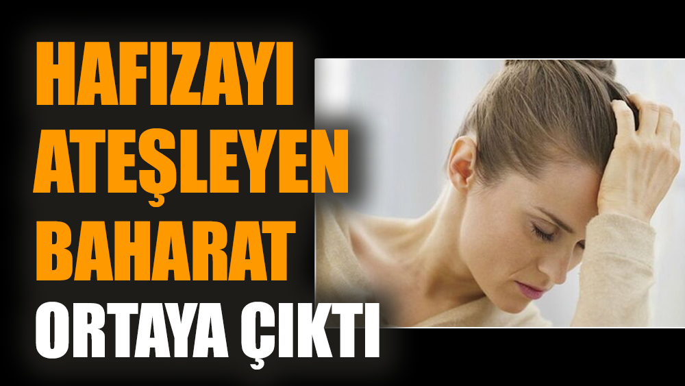 Hafızayı ateşleyen baharat ortaya çıktı
